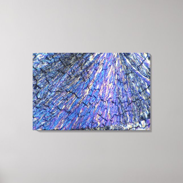 Toile Cristaux de cholestérol vus en lumière polarisée 2 (Recto)