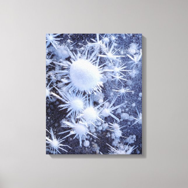 Toile cristaux de glace dans la Sierra (Recto)