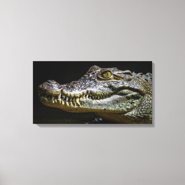 Toile Crocodile (Recto)