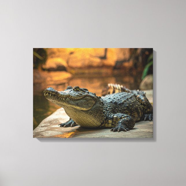 Toile Crocodile (Recto)