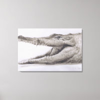 Crocodile 2005