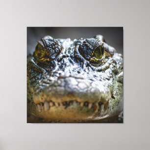Toile crocodile dans l'eau
