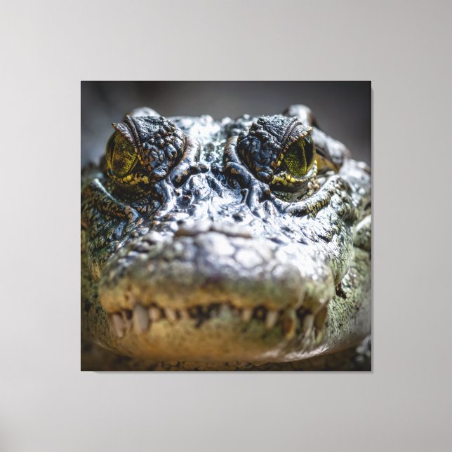 Toile crocodile dans l'eau (Recto)