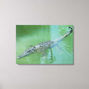 Toile Crocodile d'eau salée