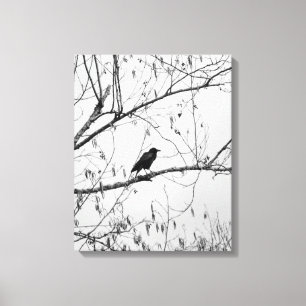 Toile Crow dans un Birch Tree