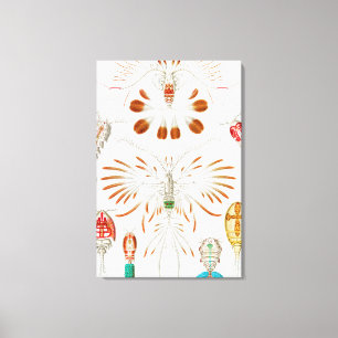 Toile Crustacés de la vie marine, Copépodes par Ernst Ha