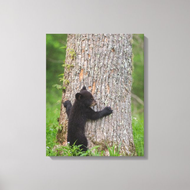 Toile Cube d'ours noir | Great Smoky Mountains (Recto)