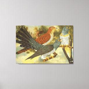 Toile Cuckoo Birds with Modern Art Canvas Imprimer