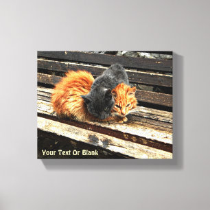 Toile Cuisses Catnap