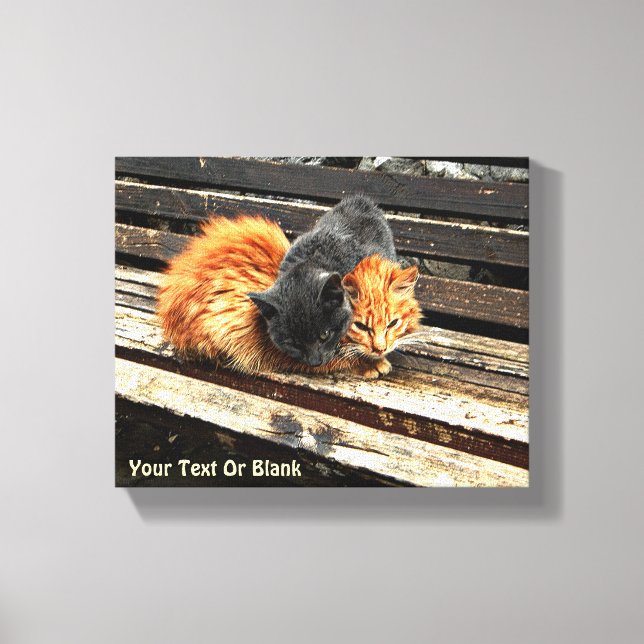 Toile Cuisses Catnap (Recto)