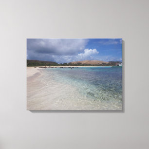 Toile Culebra