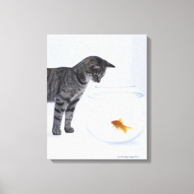 Toile Curieux chat observant le poisson rouge dans un bo (Recto)