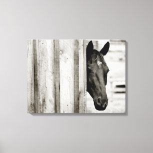 Toile Curieux Cheval noir