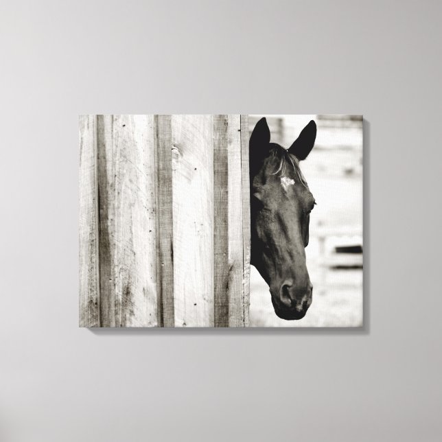 Toile Curieux Cheval Noir (Recto)