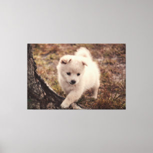 Toile Cute Adorable Fluffy Snowball Chien Chien Chien To