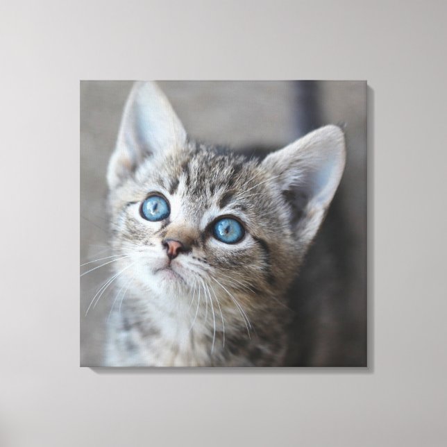 Toile Cute Kitten (Recto)