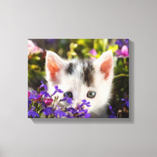 Toile Cute Kitten Fleurs de printemps Jardin Chat Photo