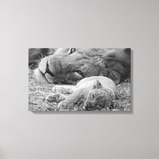 Toile Cute Lion Cub Repose Avec Le Père (Recto)