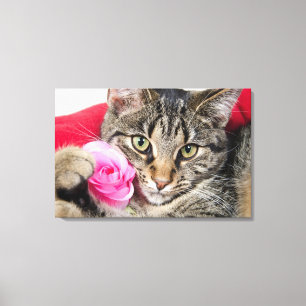 Toile Cute Tabby Chat Avec Rose