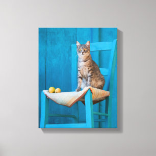 Toile Cute Tabby Chat Kitten sur une chaise bleue Photo