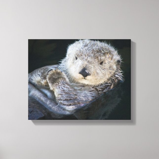 Toile Cutest Baby Animals | Sea Otter Floating (Recto)