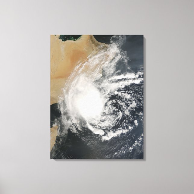 Toile Cyclone tropical sans nom (Recto)