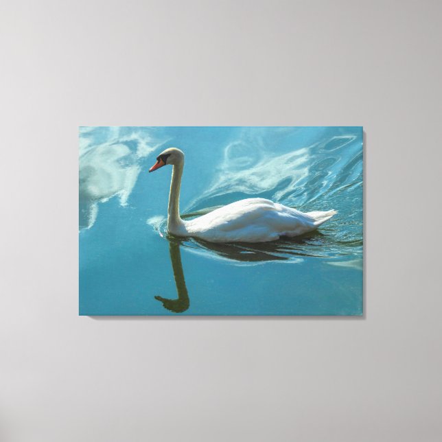 Toile Cygne avec reflets nuageux (Recto)