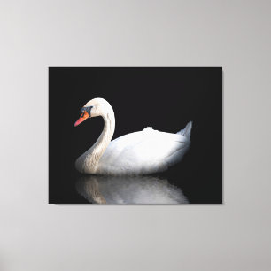 Toile Cygne blanc sur noir