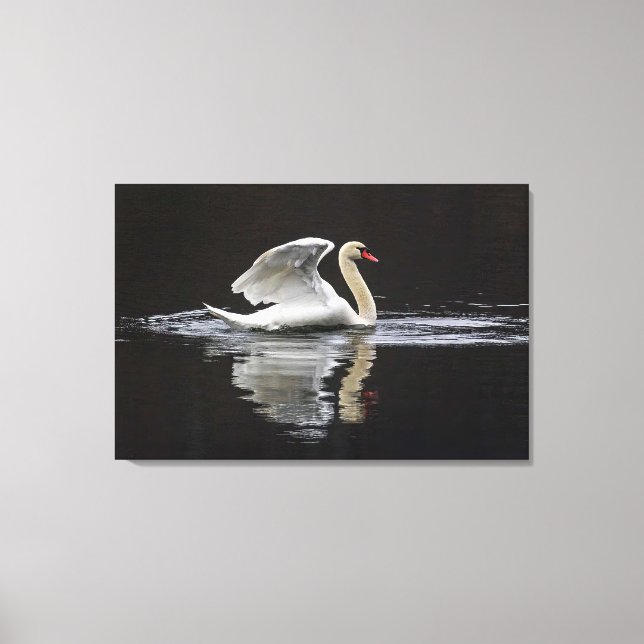 Toile Cygne et réflexions (Recto)