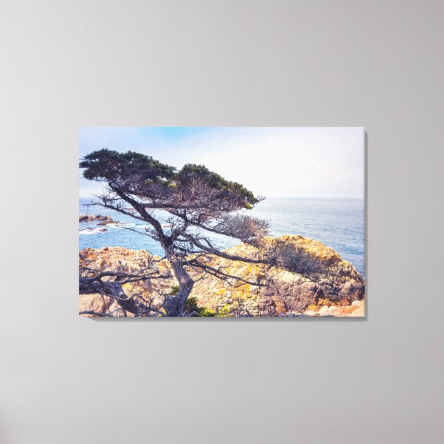 Toile Cyprès au bord de la mer (Recto)