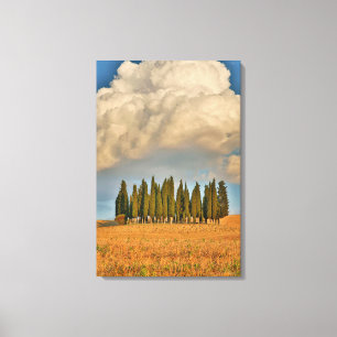 Toile Cyprès de la Toscane rurale