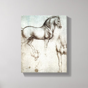 Toile Da Vinci Horse Study Renaissance Sketch Art