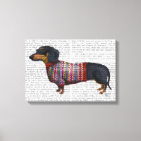 Dachshund Avec Sweat Laineux