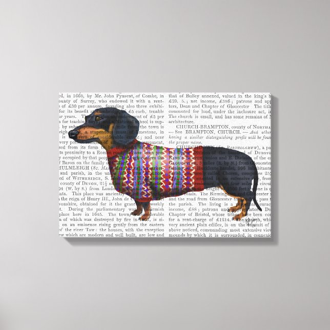 Toile Dachshund Avec Sweat Laineux (Recto)
