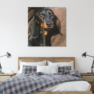 Toile dachshund noir et tan