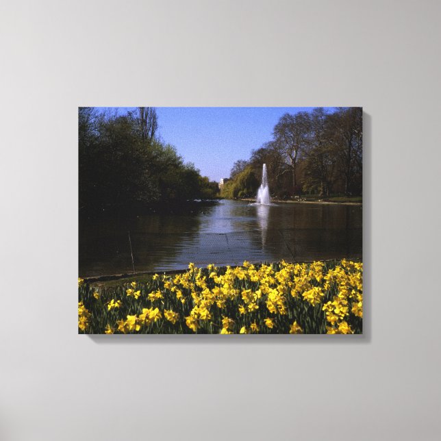 Toile Daffodils St James's Park Londres (Recto)