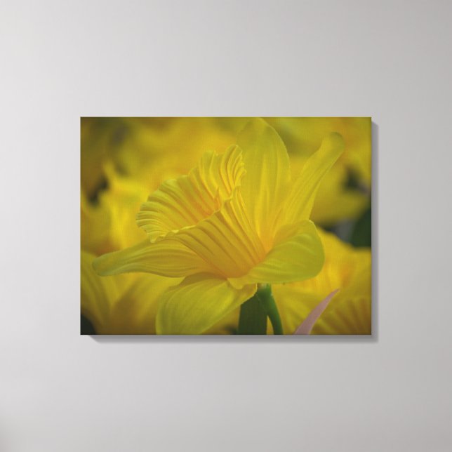 Toile Daffodiques en gros plan (Recto)
