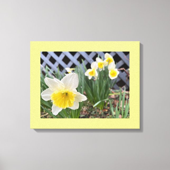 Toile Daffodiques jaunes (Recto)