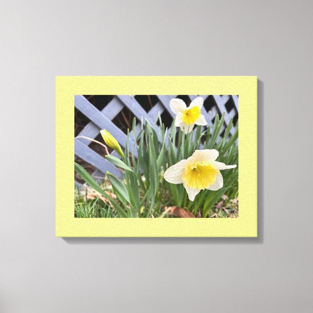 Toile Daffodiques jaunes #2 (Recto)