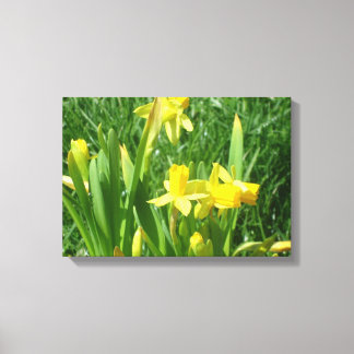 Toile Daffodiques jaunes de betercup