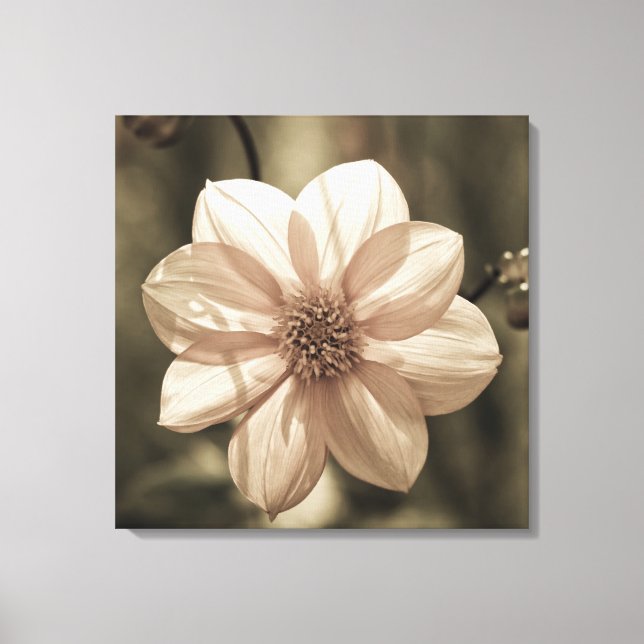 Toile Dahlia ensoleillé (Recto)