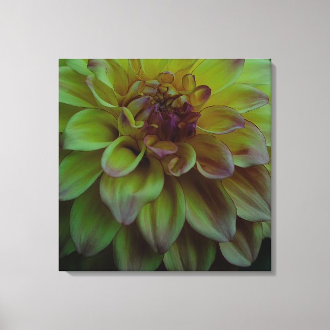 Toile Dahlia jaune (Recto)