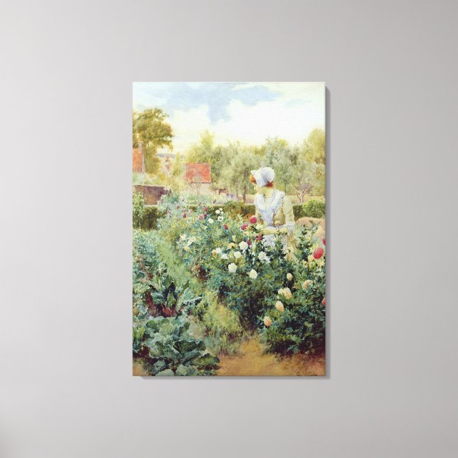 Toile Dahlias, 1896 (Recto)