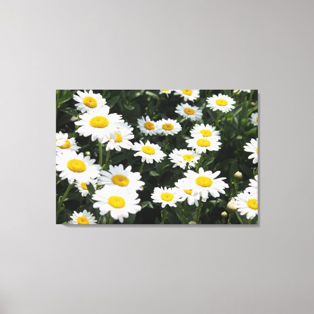 Toile Daisy Days Stretted Canvas Print (Recto)