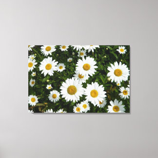 Toile Daisy Delight