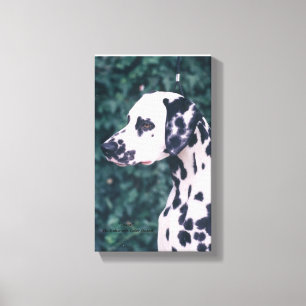 Toile Dalmatie — Grunt