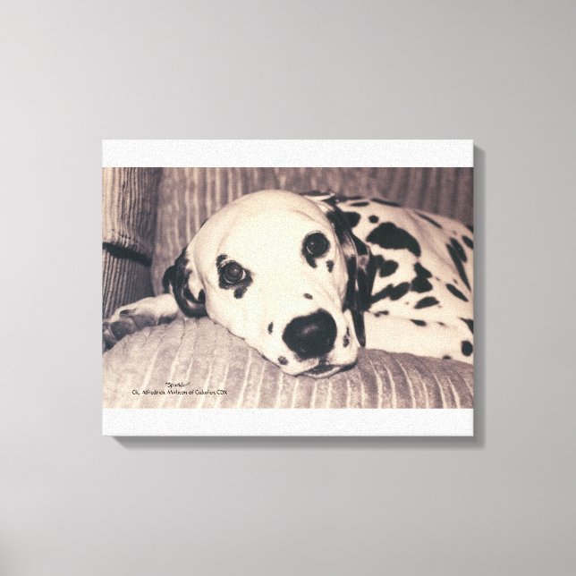 Toile Dalmatie sur un canapé — Sparkler (Recto)