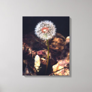 Toile Dandelion