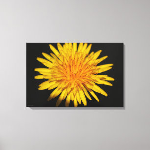 Toile Dandelion Flower 24x16 (60x40cm) waccna