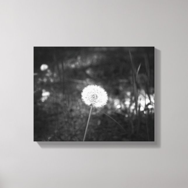 Toile Dandelion noir et blanc dans les Bois 11x14 (Recto)